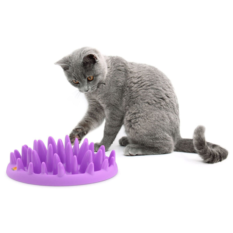 Northmate Catch Interactive Slow Feeder Cat Bowl***