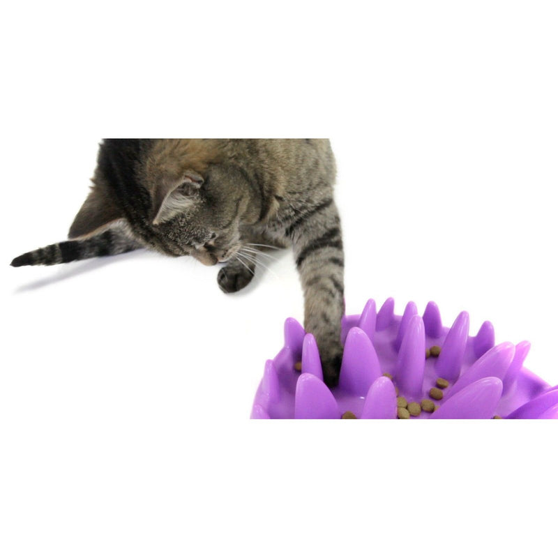 Northmate Catch Interactive Slow Feeder Cat Bowl***
