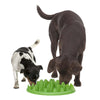 Northmate Green Interactive Slow Feeder Dog Bowl
