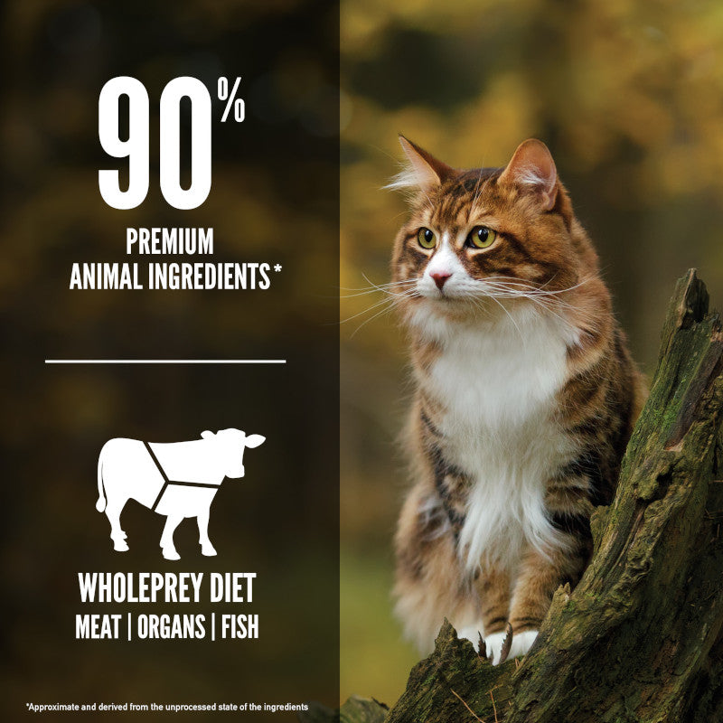 ORIJEN Regional Red Biologically Appropriate Dry Cat Food 5.45kg*