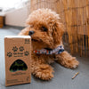 Oh Crap Compostable Dog Poop Bags 60 Pack