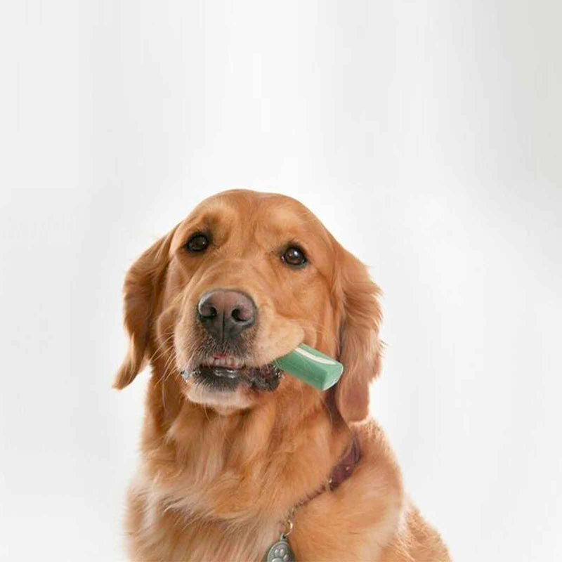 OraVet Dental Hygiene Chews for Medium Dogs 28 Pack