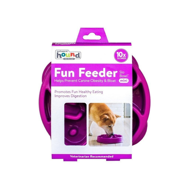 Outward Hound Fun Feeder Slo-Bowl Flower Dog Bowl Mini Purple