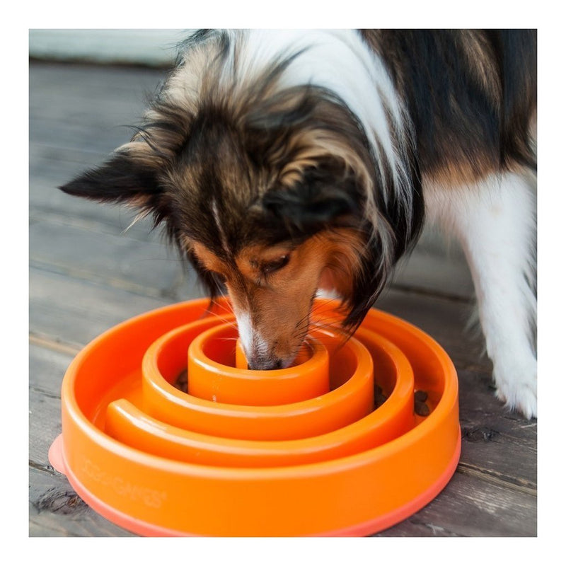 Outward Hound Fun Feeder Slo-Bowl Maze Dog Bowl Orange