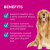 PAW by Blackmores Coat, Skin and Nails Chews for Dogs 300g