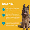 PAW by Blackmores Complete Calm Chews for Dogs 300g