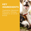 PAW by Blackmores Complete Calm Chews for Dogs 300g