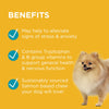 PAW by Blackmores Complete Calm Small Chews for Dogs 75g