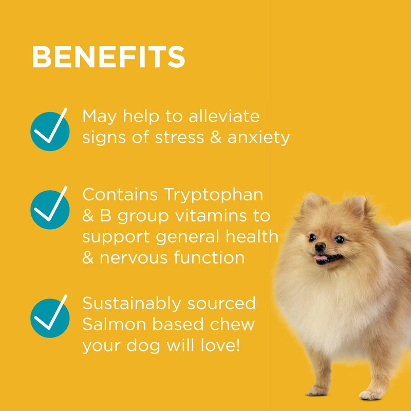 PAW by Blackmores Complete Calm Small Chews for Dogs 75g
