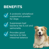 PAW by Blackmores DigestiCare Powder for Dogs and Cats 150g***