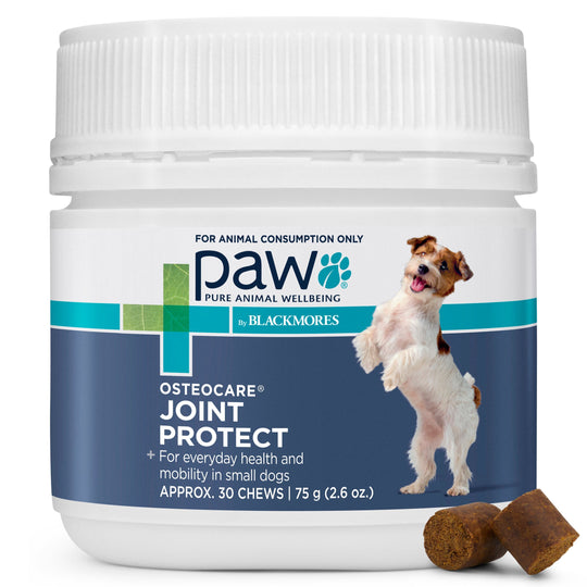 PAW by Blackmores Osteocare Joint Protect Small Chews for Dogs 75g