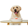 Pet DreamHouse Spin Interactive Slow Feeder for Dogs Bougainvillea***