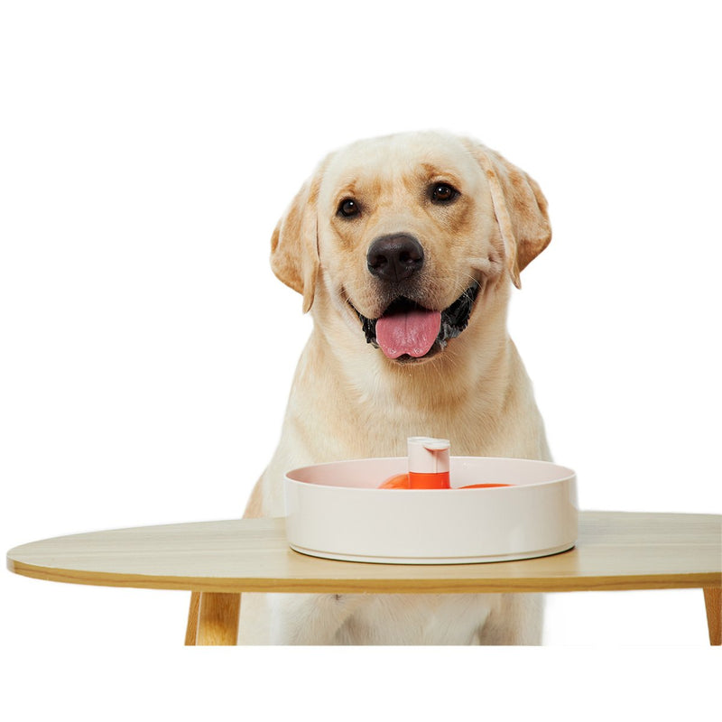 Pet DreamHouse Spin Interactive Slow Feeder for Dogs Bougainvillea***