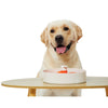 Pet DreamHouse Spin Interactive Slow Feeder for Dogs Bougainvillea