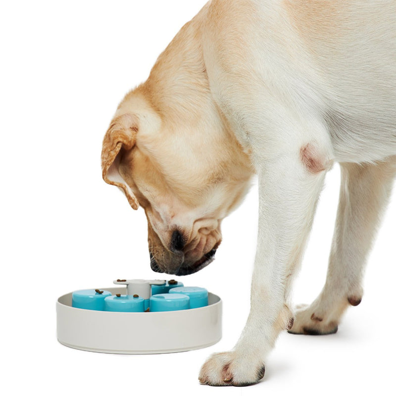 Pet DreamHouse Spin Interactive Slow Feeder for Dogs Palette***