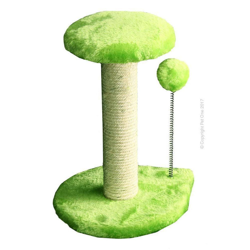 Pet One Scratching Post Platform and Ball*-Habitat Pet Supplies