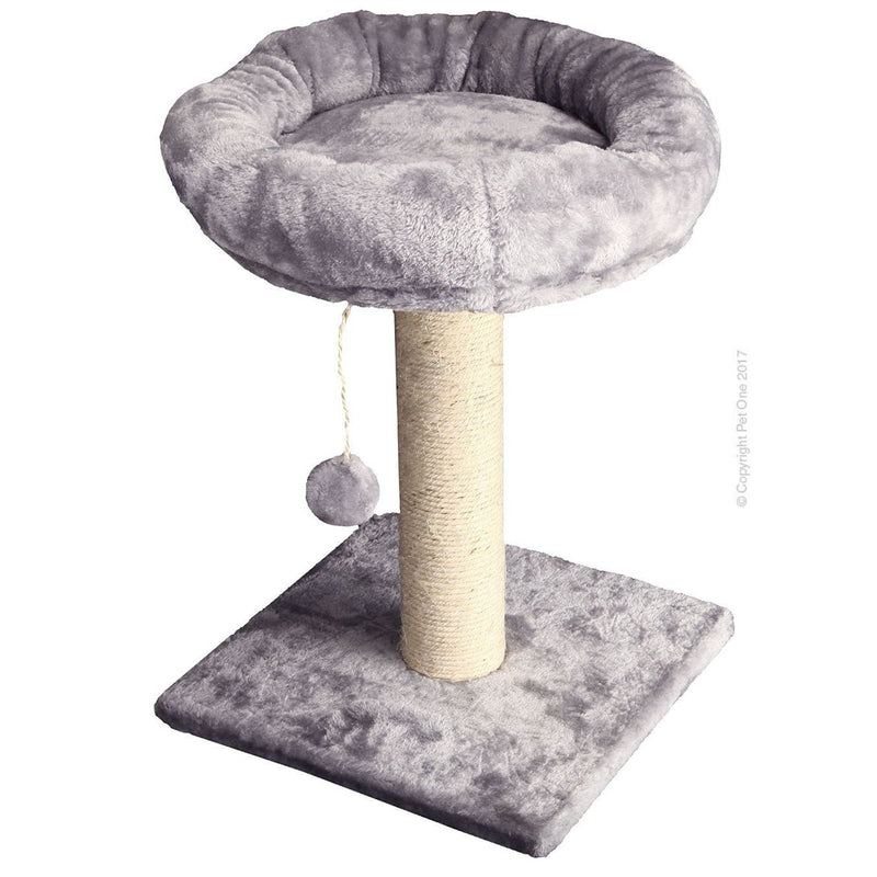 Pet One Scratching Post With Bed Grey*-Habitat Pet Supplies
