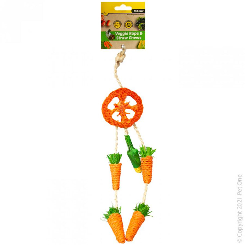 Pet One Veggie Rope and Straw Chew Hanging Dreamcatcher Small Animal Toy-Habitat Pet Supplies