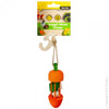 Pet One Veggie Wood Chew Carrot Carousel Small Animal Toy-Habitat Pet Supplies