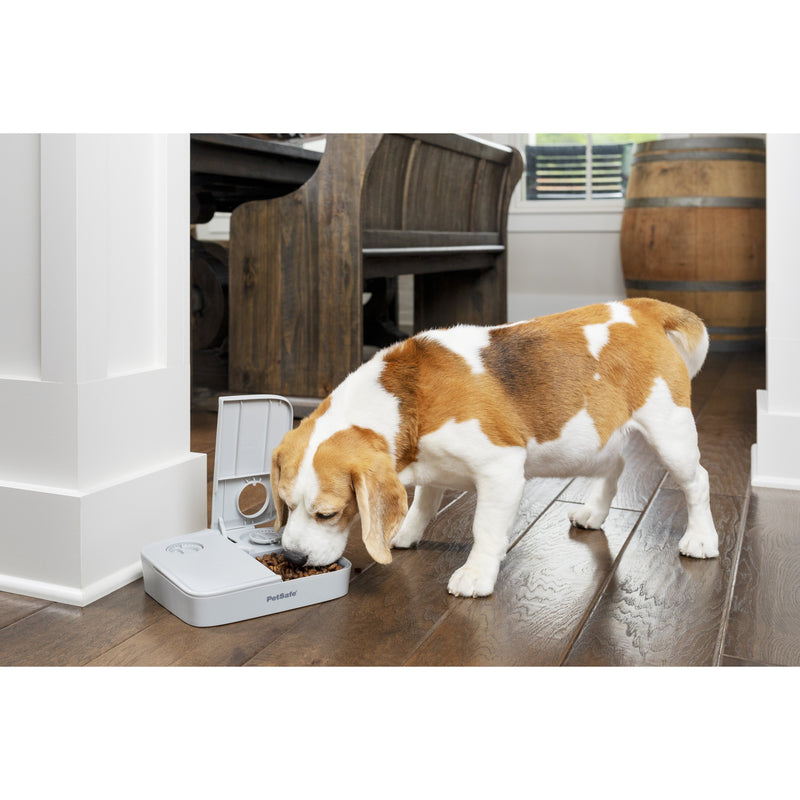 PetSafe Automatic Two Meal Pet Feeder for Dogs and Cats