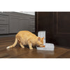 PetSafe Automatic Two Meal Pet Feeder for Dogs and Cats