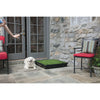PetSafe The Pet Loo Large Portable Toilet for Dogs (+_+)