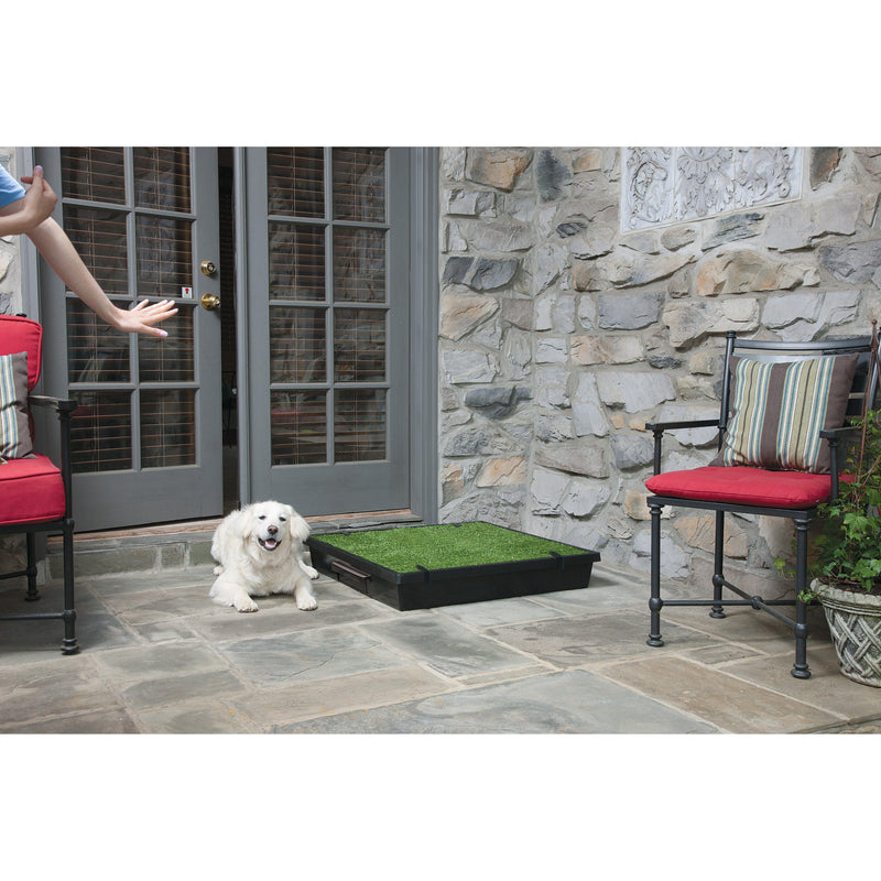PetSafe The Pet Loo Large Portable Toilet for Dogs (+_+)