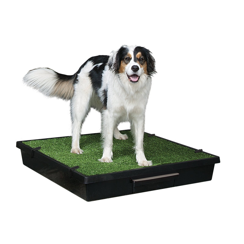 PetSafe The Pet Loo Large Portable Toilet for Dogs (+_+)-Habitat Pet Supplies