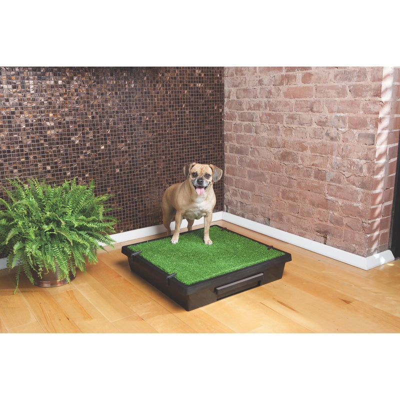 PetSafe The Pet Loo Medium Portable Toilet for Dogs (+_+)