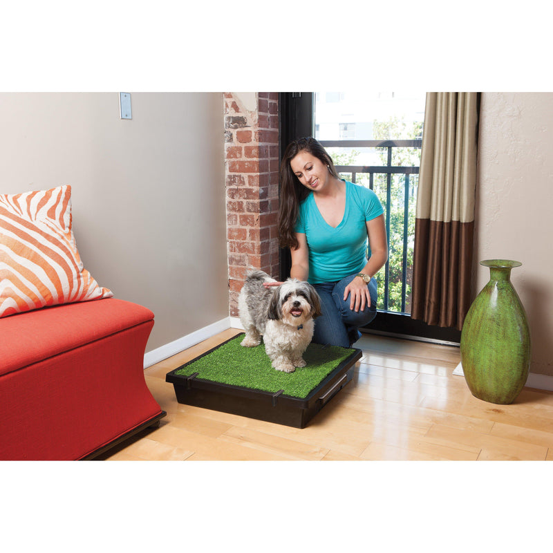 PetSafe The Pet Loo Medium Portable Toilet for Dogs (+_+)