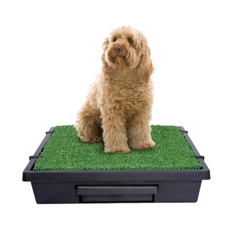 PetSafe The Pet Loo Medium Portable Toilet for Dogs-Habitat Pet Supplies