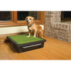 PetSafe The Pet Loo Small Portable Toilet for Dogs (+_+)