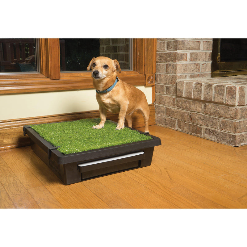 PetSafe The Pet Loo Small Portable Toilet for Dogs (+_+)