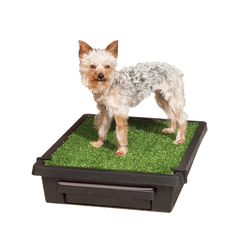 PetSafe The Pet Loo Small Portable Toilet for Dogs-Habitat Pet Supplies