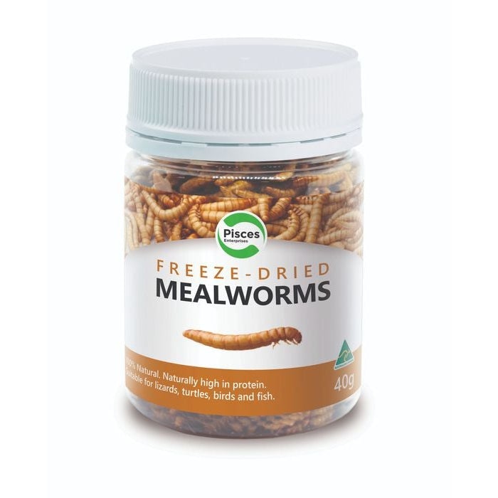 Pisces Freeze Dried Mealworms for Reptiles 40g-Habitat Pet Supplies
