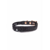 Pupstyle Blessed City Dog Collar Small-Habitat Pet Supplies
