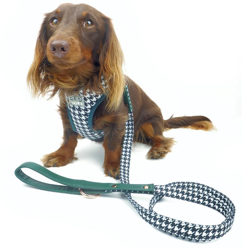 Pupstyle Emerald Envy Dog Harness Large