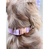 Pupstyle Suburban Berry Milkshake Dog Collar Medium