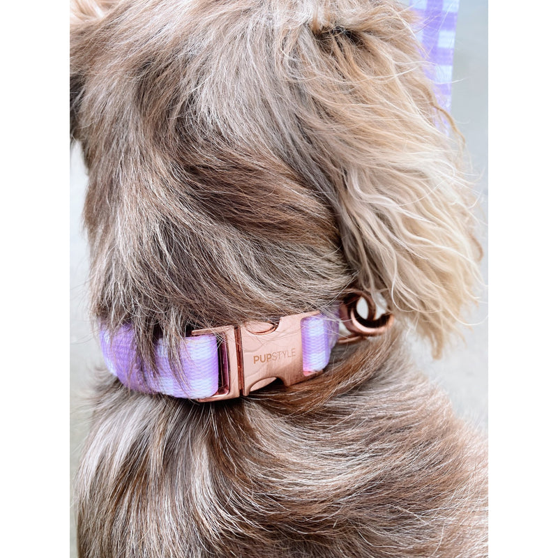 Pupstyle Suburban Berry Milkshake Dog Collar Medium
