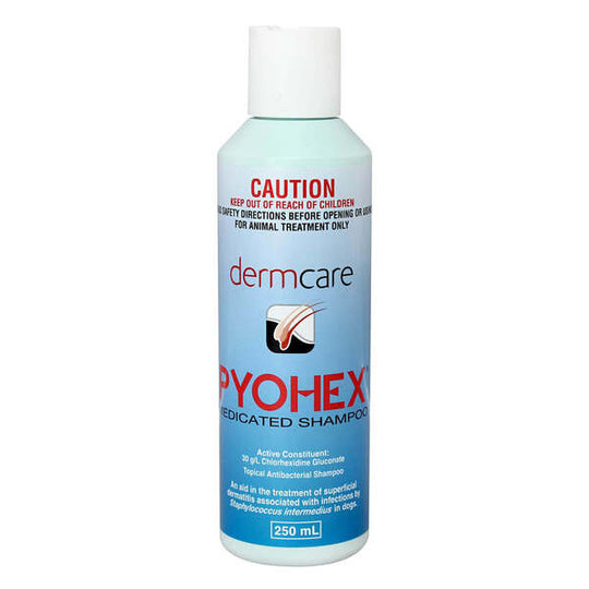 Pyohex Medicated Foam 250ml
