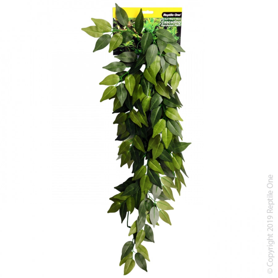 Reptile One Artificial Plant Cascading Variegated Ivy Green 40cm-Habitat Pet Supplies