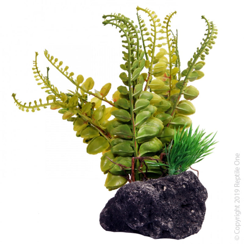 Reptile One Artificial Plant Fern with Pumice Base-Habitat Pet Supplies