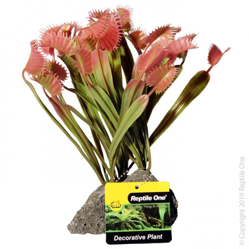 Reptile One Artificial Plant Venus Fly Trap with Pumice Base-Habitat Pet Supplies