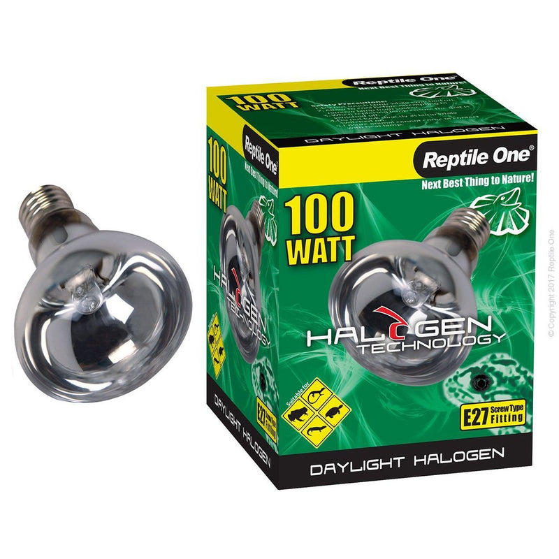 Reptile One Halogen Daylight 100W-Habitat Pet Supplies