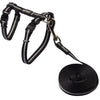 Rogz AlleyCat Extra Small Cat Harness Black (+_+)-Habitat Pet Supplies