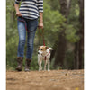 ROGZ LUMBERJACK CONTROL LONG LEAD BLACK - Habitat Pet Supplies Altona & Chirnside Park