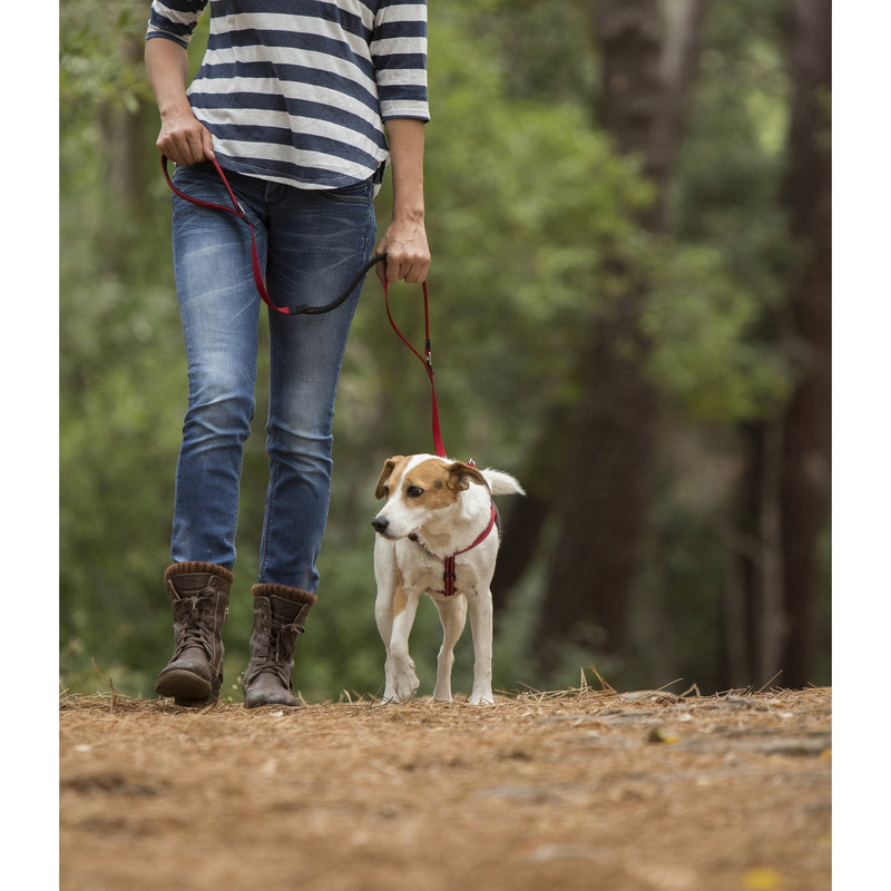 ROGZ LUMBERJACK CONTROL LONG LEAD BLACK - Habitat Pet Supplies Altona & Chirnside Park