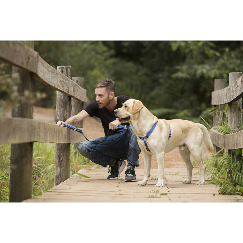 ROGZ LUMBERJACK CONTROL LONG LEAD BLUE - Habitat Pet Supplies Altona & Chirnside Park