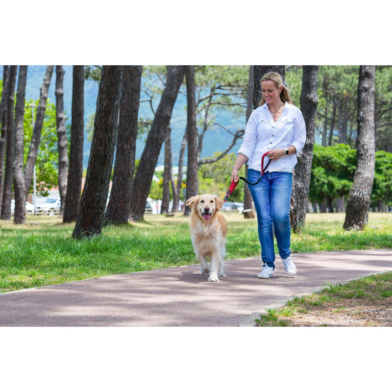 ROGZ LUMBERJACK CONTROL LONG LEAD RED - Habitat Pet Supplies Altona & Chirnside Park