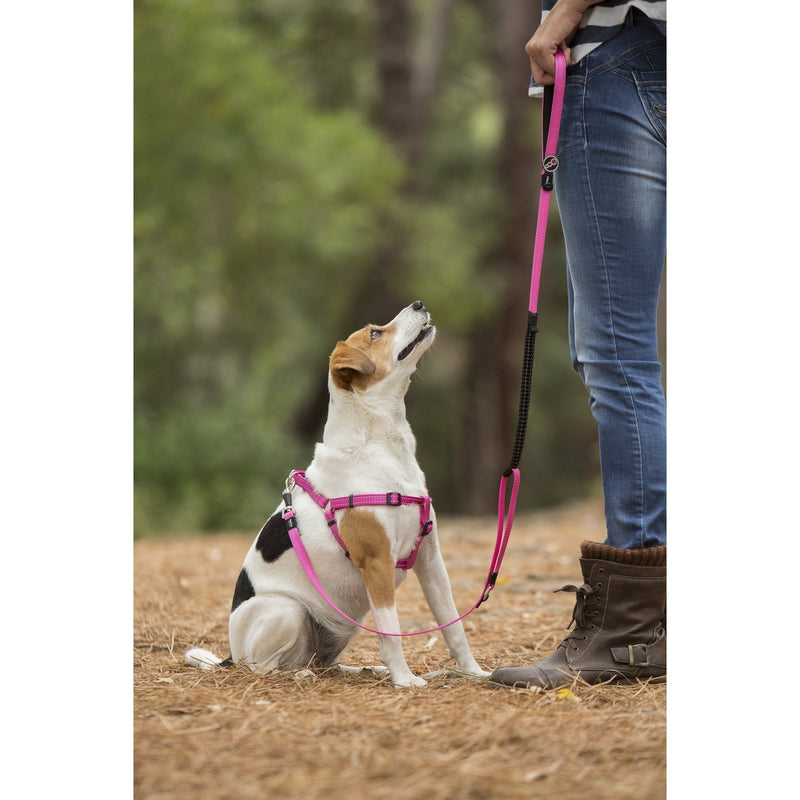 ROGZ SNAKE CONTROL LEAD PINK - Habitat Pet Supplies Altona & Chirnside Park